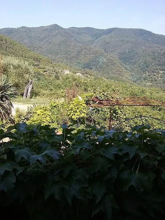 포스디노보 Casa Virgilio B&B 0*,